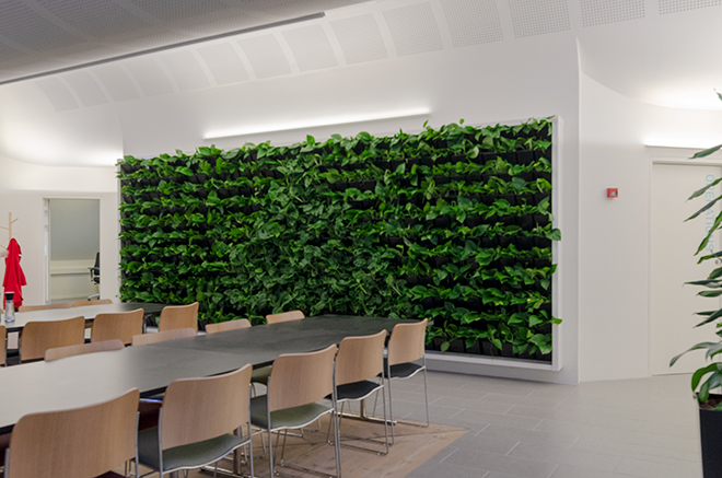 Living Green Walls From Natural Greenwalls For Offices And