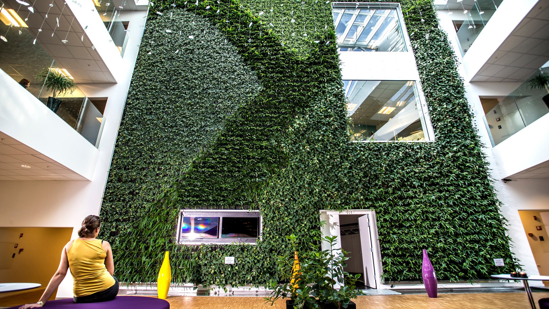 Permanent Mens meest Living green walls from Natural Greenwalls for offices and professionals