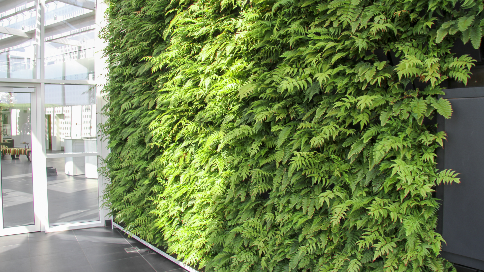 case-green-solution-house-5