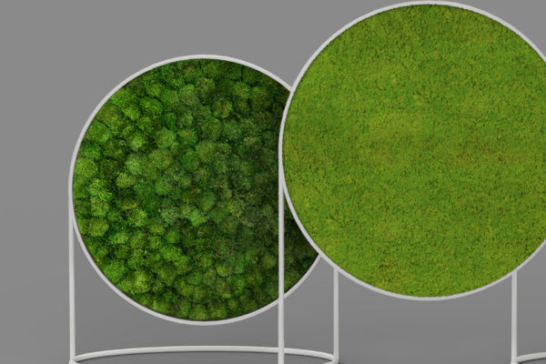 G-Screen_provence+lichen_GreenMood G-Line, fremtidens kunstværker, art of the future G-Line, fremtidens kunstværker, art of the future