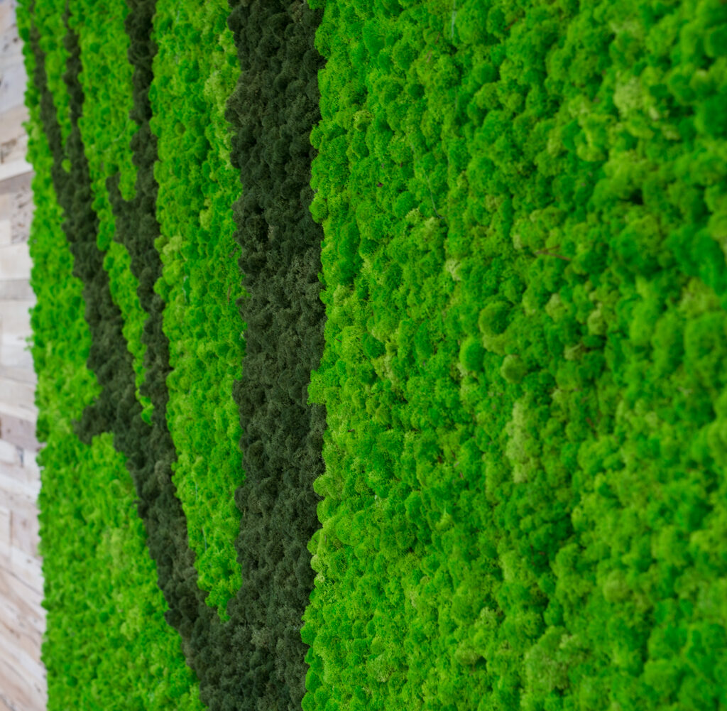 Jydsk Planteservice-1827 mosvæg, mosvægge, natural greenwalls