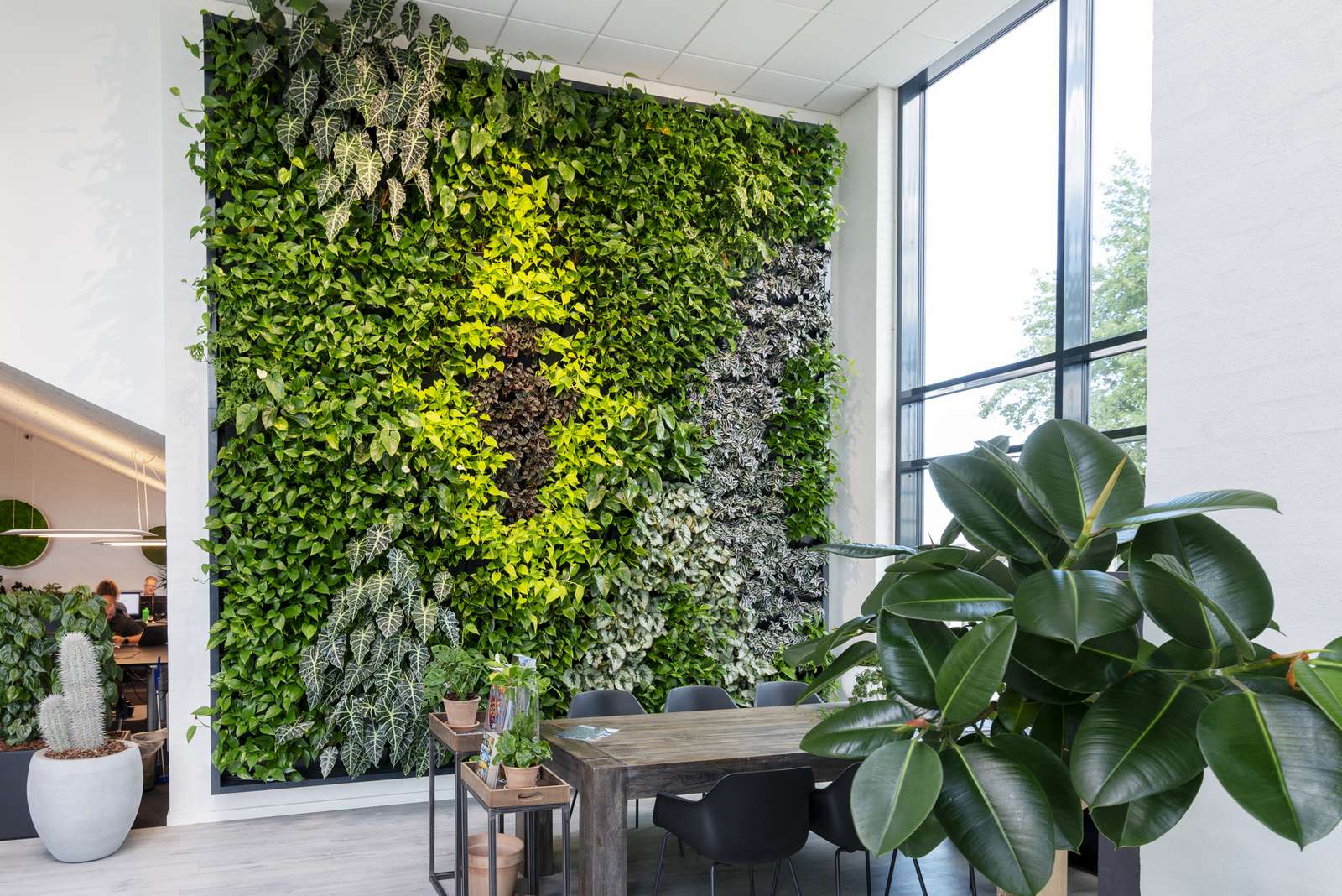 greenery wall living room